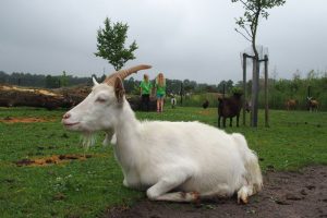 Uitje Kinderkoor Give us Peace 2018